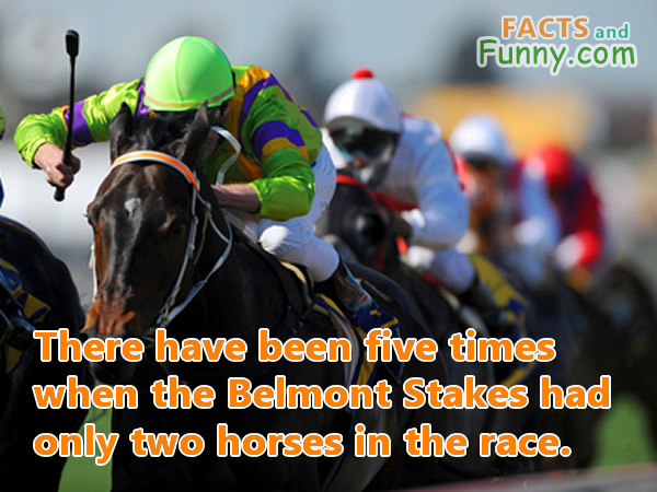 Photo about horse racing and sports