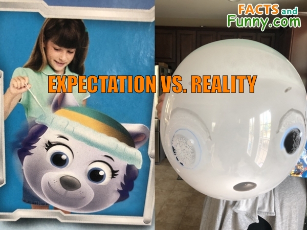 Photo about pawpatrol and balloon