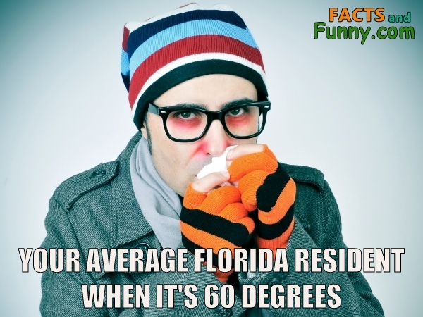 Photo about florida and cold