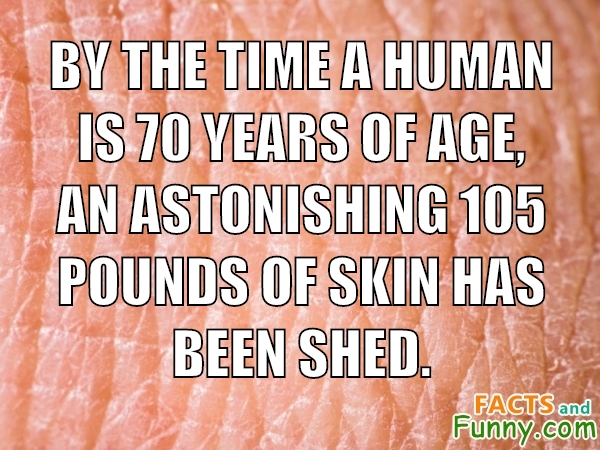 Photo about human and skin