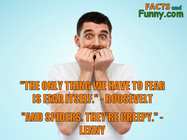 Photo about fear and spiders
