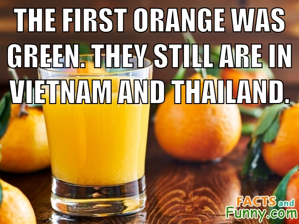 Photo about orange and fruit