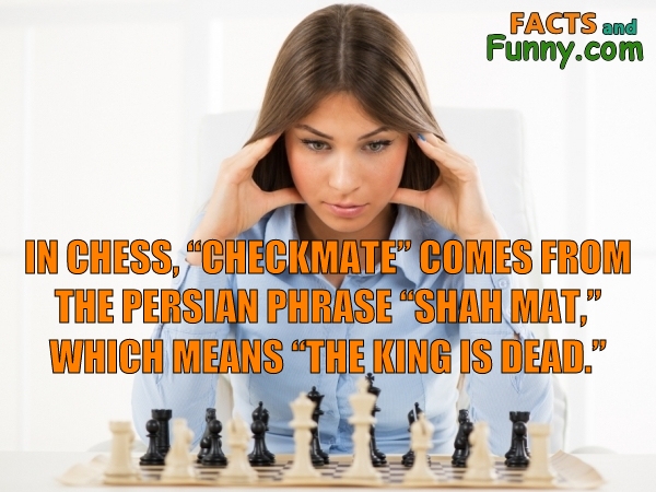 Photo about chess and checkmate