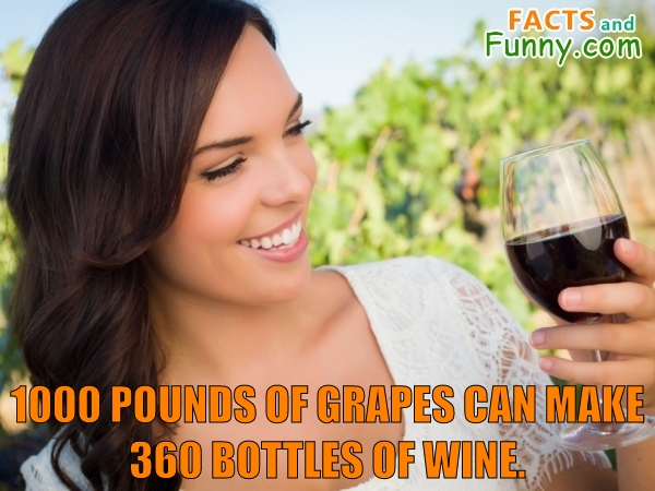 Photo about grapes and wine