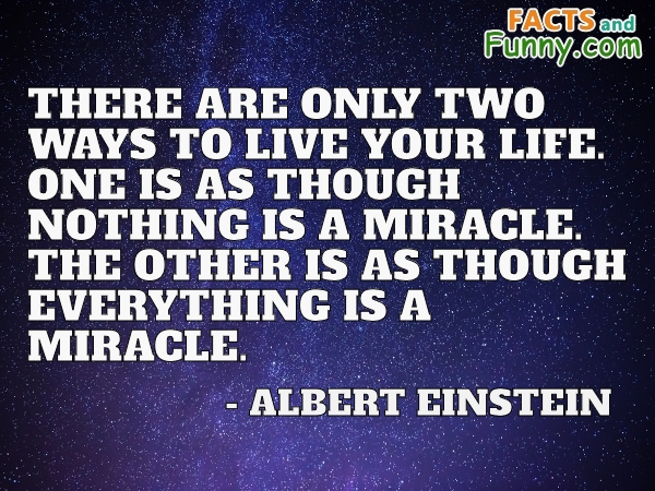 Photo about life and miracle