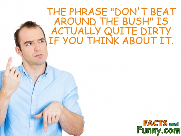 Photo about phrase and saying