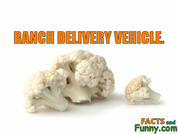 Photo about vegetables and food