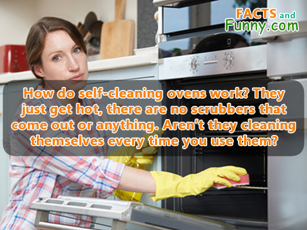 How do self-cleaning ovens work? They just get hot, there are no scrubbers that come out or anything. Aren't they cleaning themselves every time you use them? Photo about cleaning and ovens
