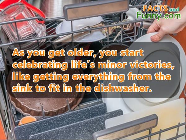 Photo about dishes and older