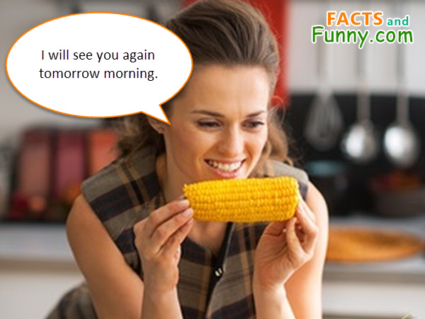 Photo about corn and woman