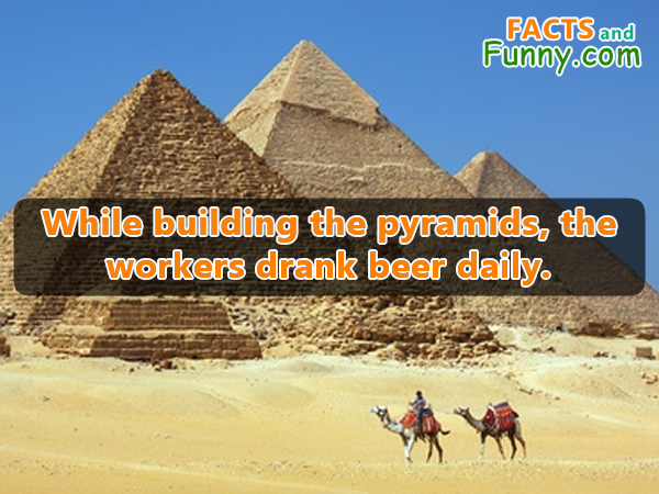 Photo about pyramids and beer