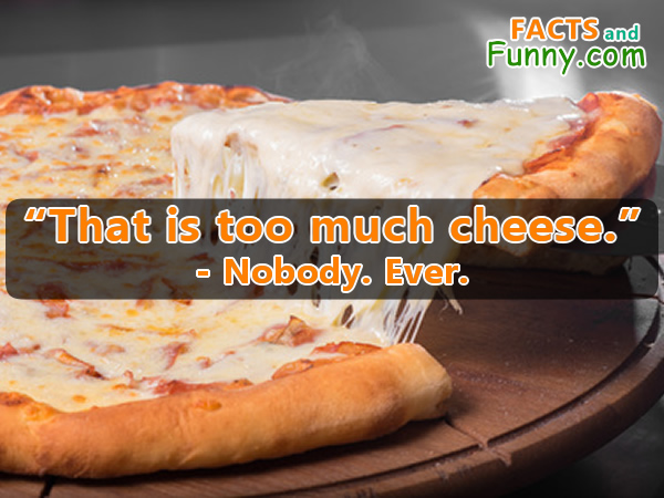 Photo about food and cheese