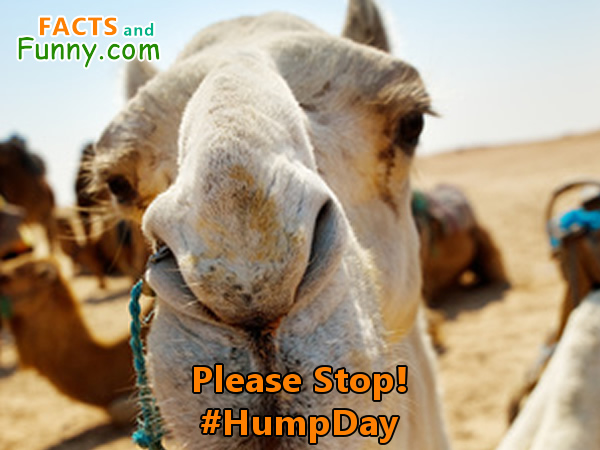 Photo about humpday and wednesday