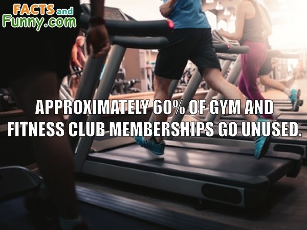 Photo about diet and exercise