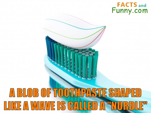 Photo about toothpaste and blob