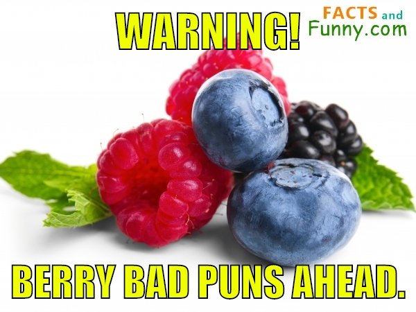 Photo about pun and berries