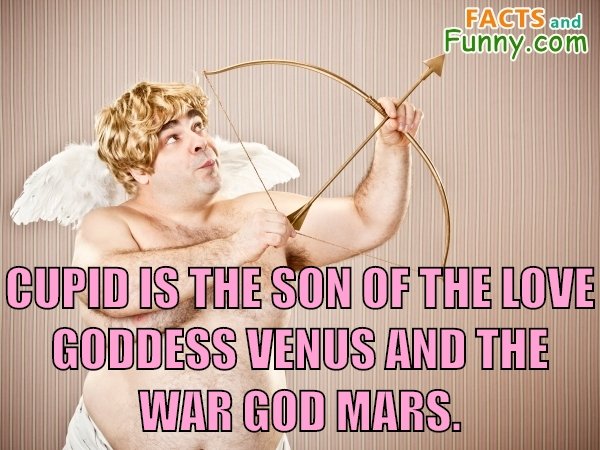 Photo about valentinesday and love