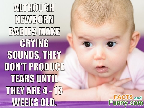 Photo about babies and tears