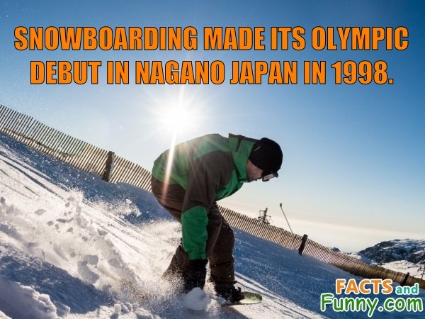 Photo about snowboard and olympics