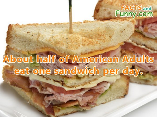 Photo about sandwich and food