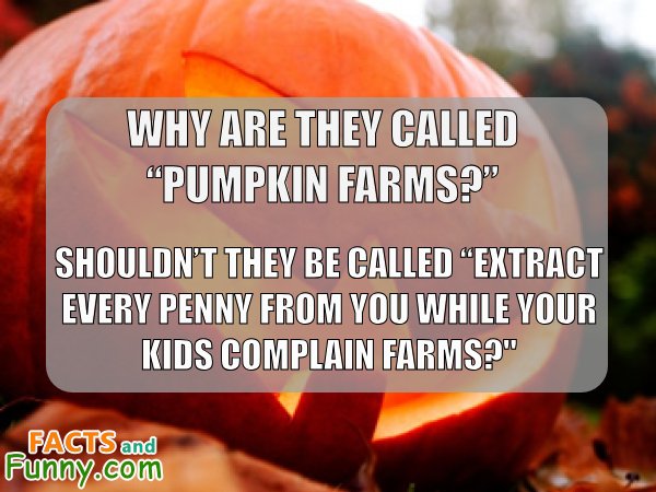 Photo about halloween and pumpkin