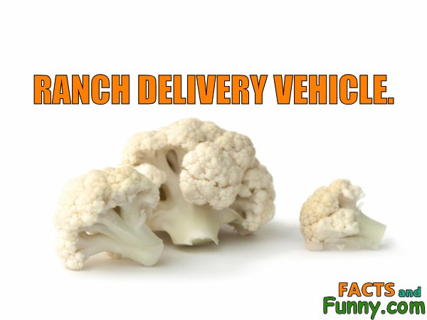 Photo about vegetables and food