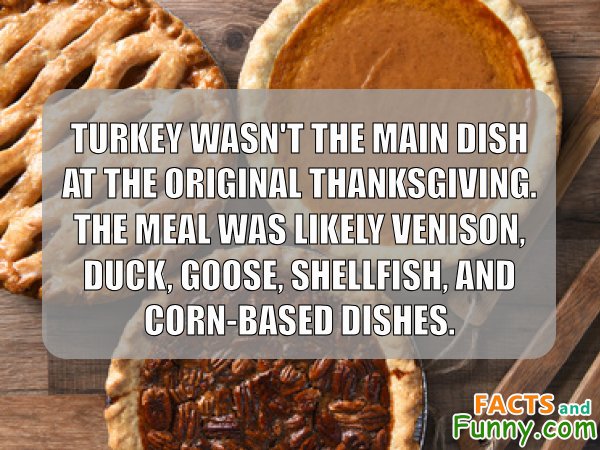 Photo about thanksgiving and turkey