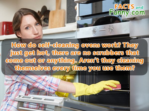 Photo about cleaning and ovens