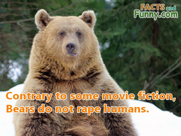 Photo about bears and leonardo dicaprio