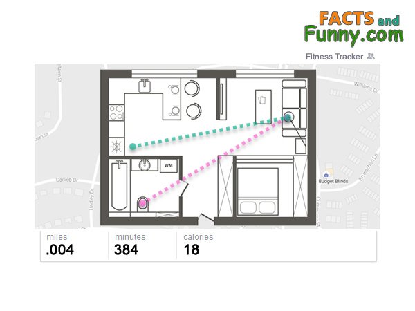 Photo about diet and tracking